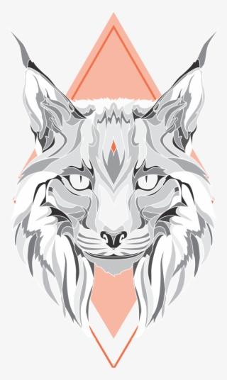 Lynx - Illustration