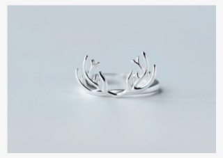 Reindeer