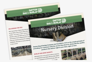 A Polished New Look - Flyer
