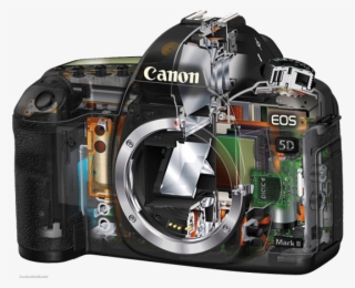 Camera Services In Kuwait - Canon 5d Mark Iii Inside