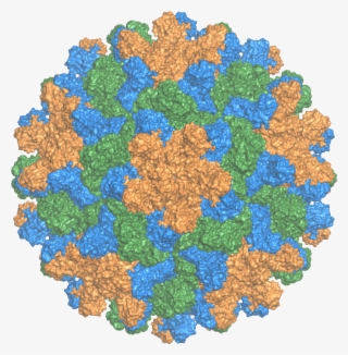 Tomato Bushy Stunt Virus - Art