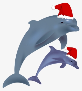 Big Image - Christmas Dolphin