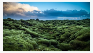 Grass Hill Png