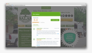 Salas Tree Service Online Reviews - Tree