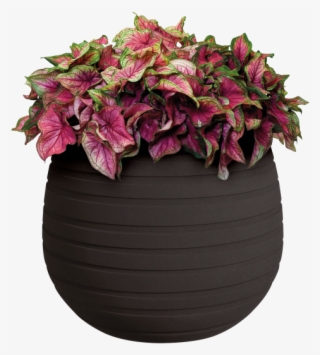 Home > Collection > Allure Ribbon Vase - Poinsettia