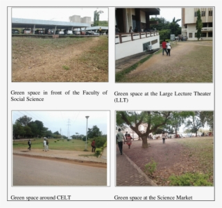 Lawns Used As " Pathways " By Some Ucc Students - Walking