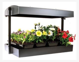 Artificial Flower