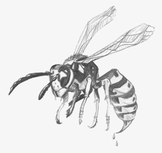 We'd Like To Introduce You To Waspy And His Creator