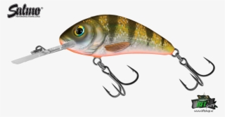 Salmo Rattlin Hornet 5.5 Cm