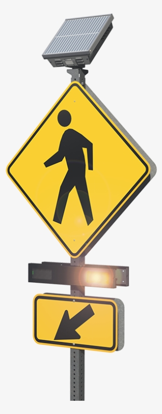 Committee Approves New Crosswalks And Lights Near Some - Noosa National Park