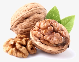 Pacific Nut Producer Magazine The Authoritative Voice - Pecan Nut Png