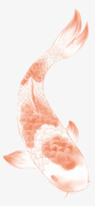 Butterfly Koi Chinese Tattoo Carp Wind Clipart - Lotus Tattoo Designs