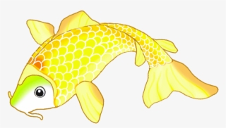Colorful Drawings Golden Sketch - Koi Fish Drawing