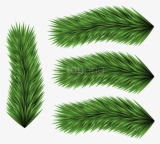Free Png Set Of Pine Branches Png - Grass