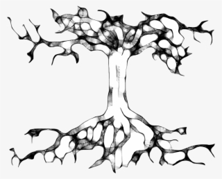 Tree Roots Tree Roots, First Nations, Mother Nature, - Tree Drawing