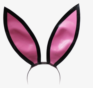 Baby Blue Bunny Ears