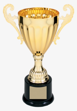 Gold Metal Corporate Cup Trophy - Gold Cup Winners