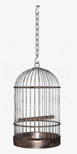 Free Png Bird Cage Png Images Transparent - Birdcage Hanging