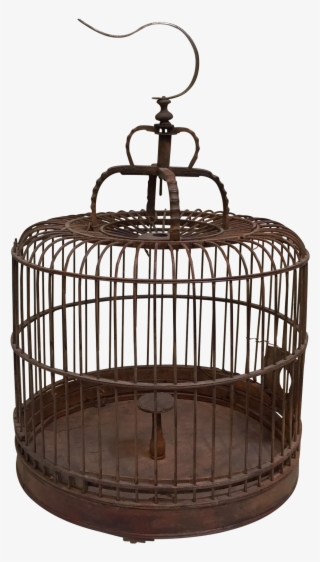 1371 X 2409 3 - Cage