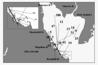 Delaware Bay Sandbar Shark Tag-release And Recapture - Map