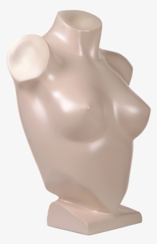 Lingerie Female Bust