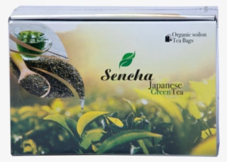 Hometea Bagsencha Green Tea Bag - Box