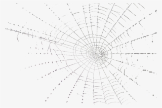 Spider Web - Spider Web Psd