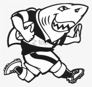 Free Png Download Sharks Rugby Mascotte Png Images - Sharks Rugby Logo Png