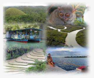 Our - Chocolate Hills