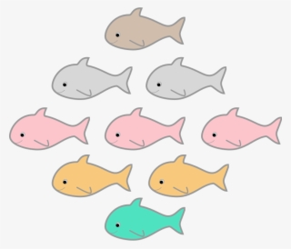 Fish - Shark
