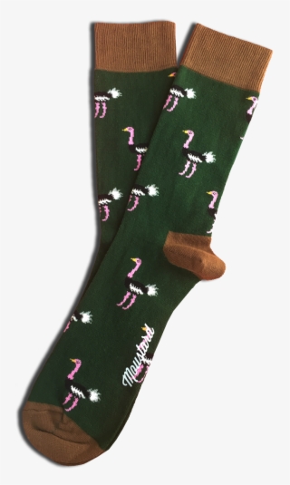 Ostrich Green Cotton Socks - Sock