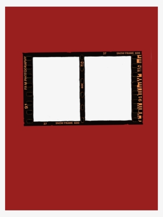 Report Abuse - Screen