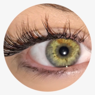 Eyelash Extensions - Eye Shadow