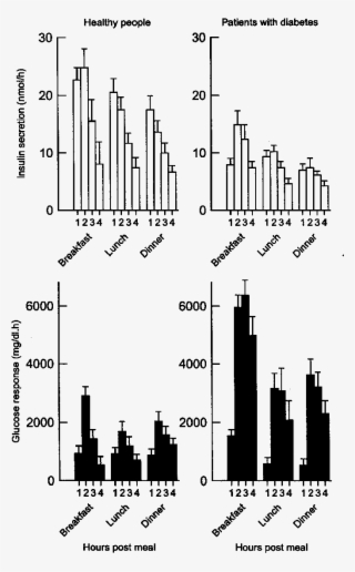 Increment In Prandial Insulin Secretion And Plasma - Diagram