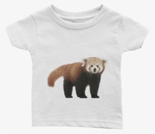 Red-panda Print Infant Tee - Red Panda