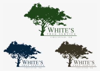 Logo For White S Tree Service Pinterest Trees Logos - Oak