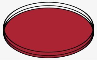 Petri Dishes Closed - Circle