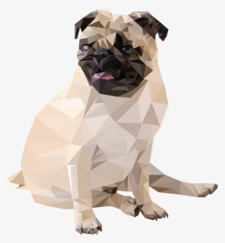 Triangle Png Tumblr - Geometric Pug