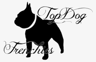 Topdog French Bulldogs Frenchies For Sale Puppies - Guard Dog