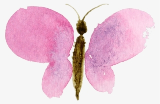 Watercolor Clipart Transparent Background - Watercolor Clipart No Background