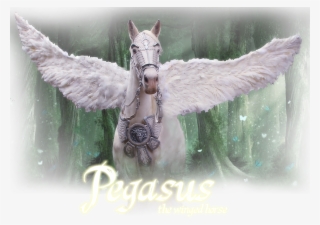 Pegasus Is One Of The Mythological And Fantastic Beings
