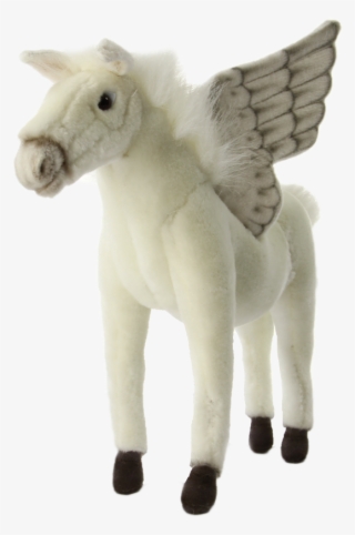 Stallion