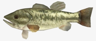 Largemouthbasslego - Oily Fish