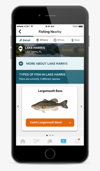 Your Guide - Cool Fish Detail App