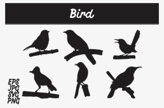 Bird Silhouette Set Svg Vector Image Bundle Graphic - Batik Mega Mendung Vector