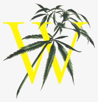 We're Hosting A Women In Cannabis Weekend