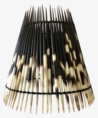 Porcupine - Cosmetics