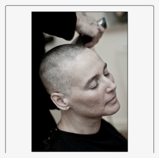 Ann Had Her Hair Shaved Off - Human