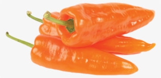 Orange Pointed Peppers - Puntpaprika Oranje