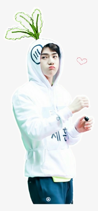 Sehun Cute Wallpaper Hd